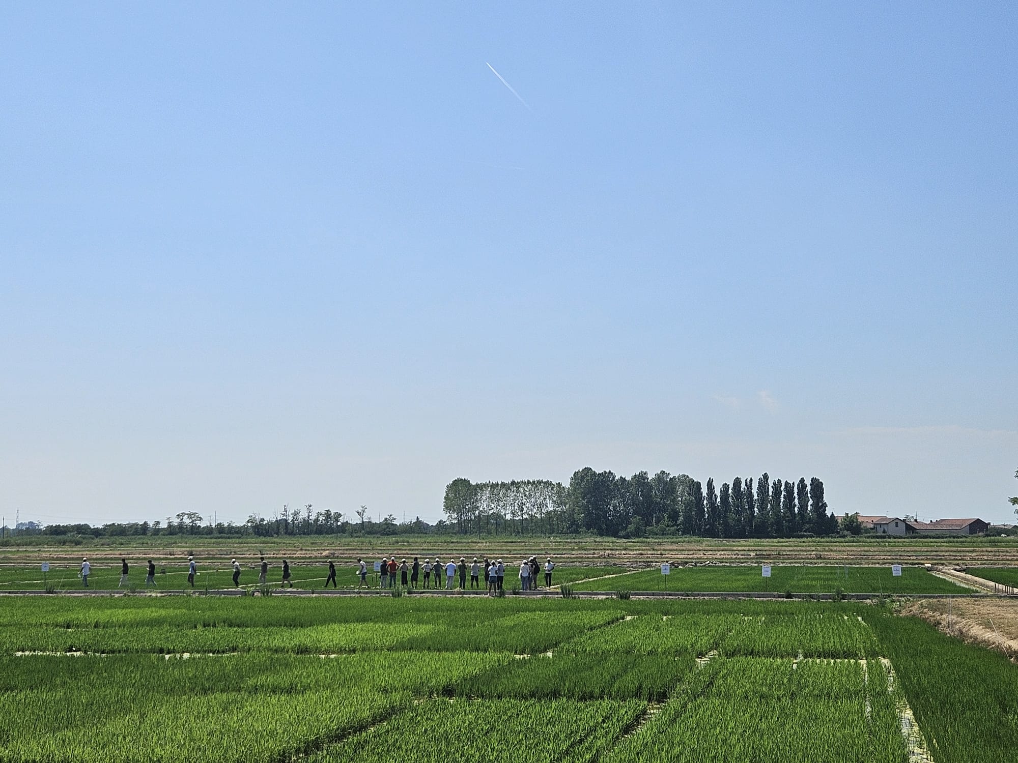 3° Field Day – 25 settembre 2026